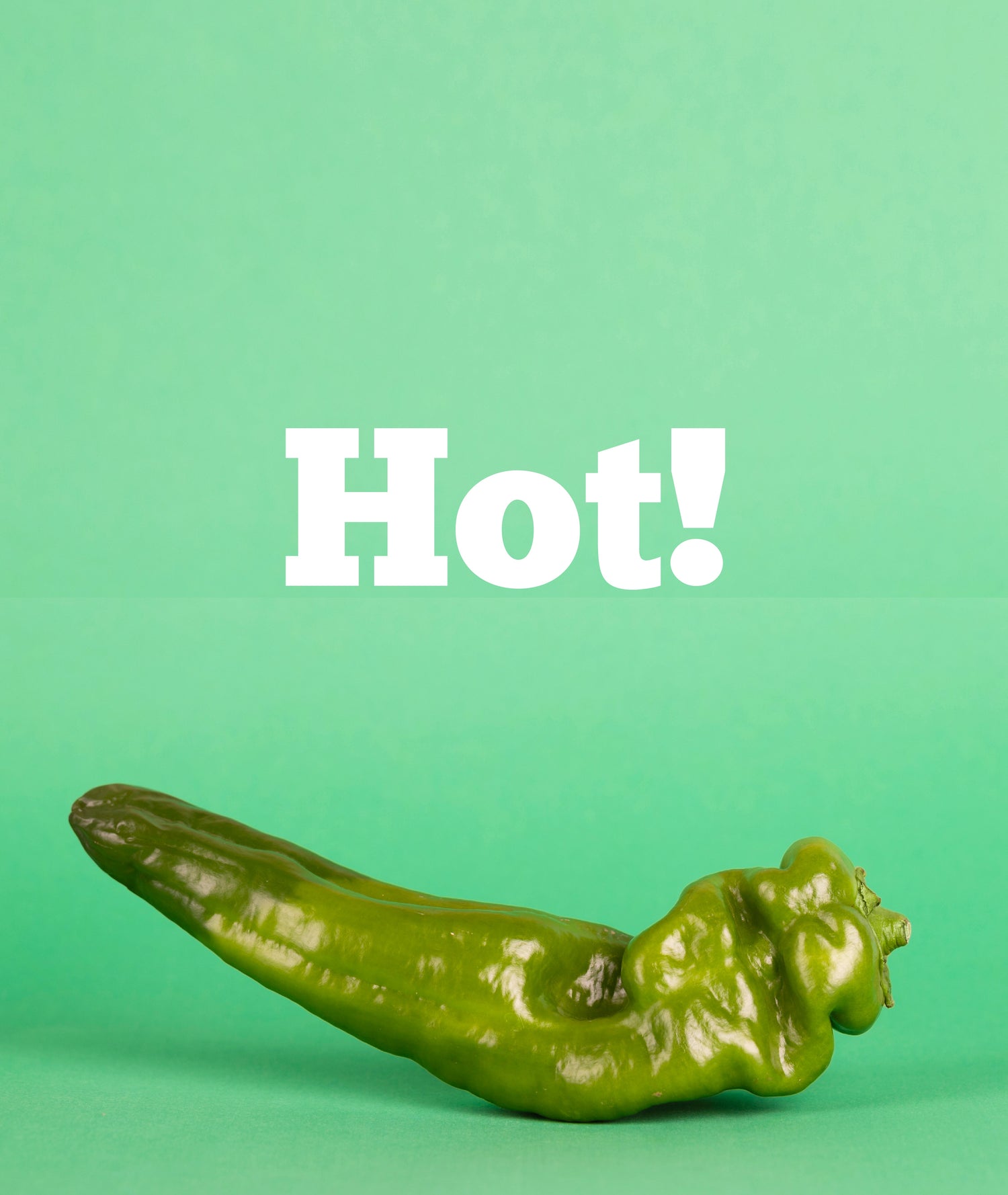 Hot & Nieuw